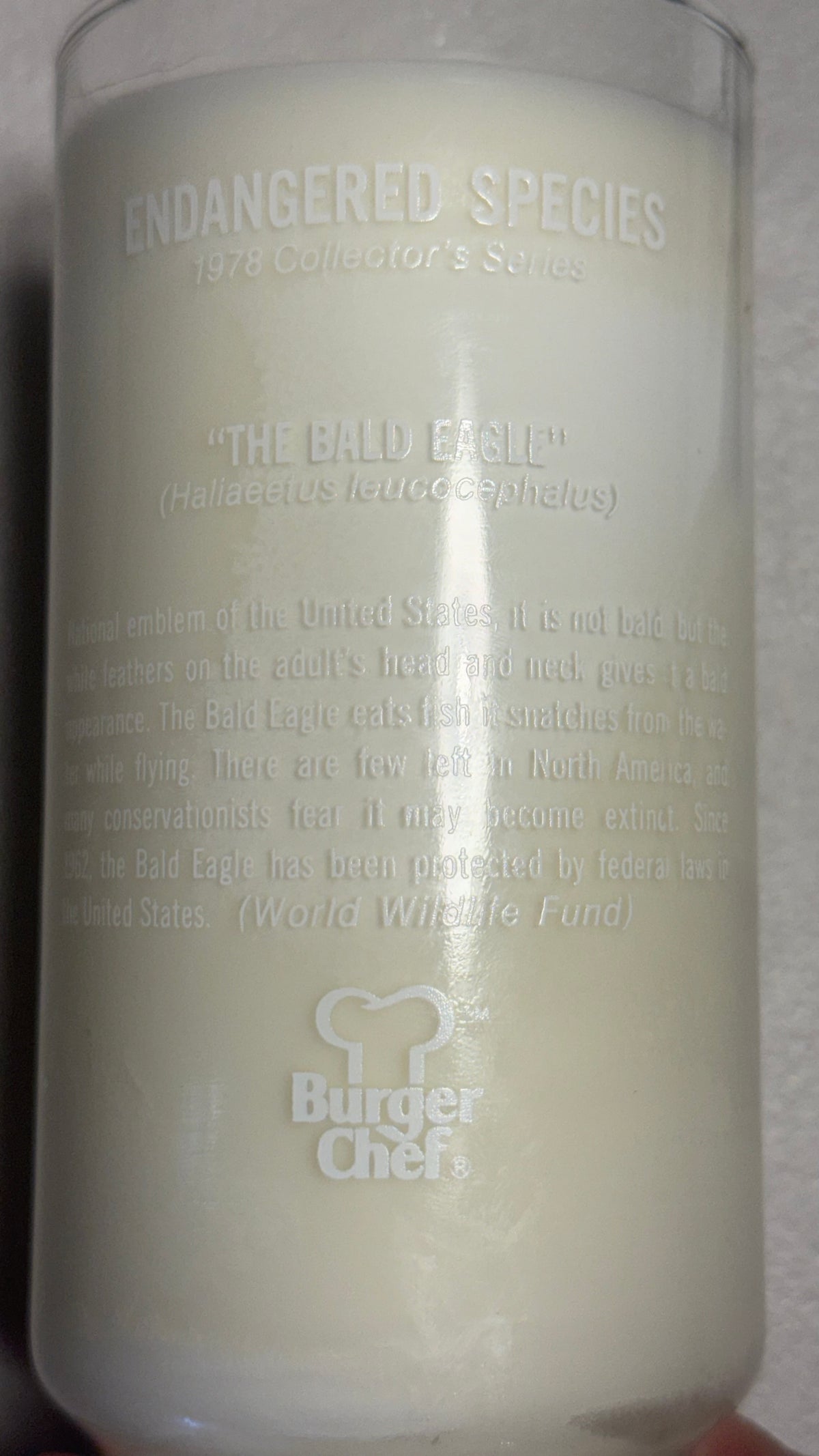 Vintage Upcycled Candle- Burger Chef Cup- 1978 Endangered Species Collectors Series